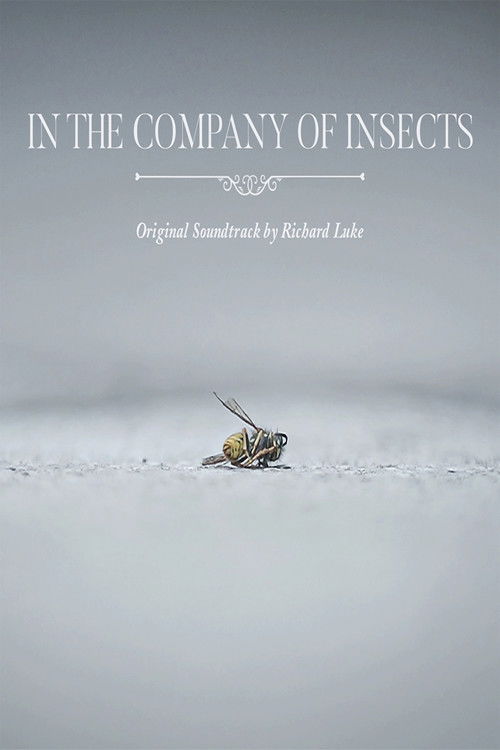In the Company of Insects